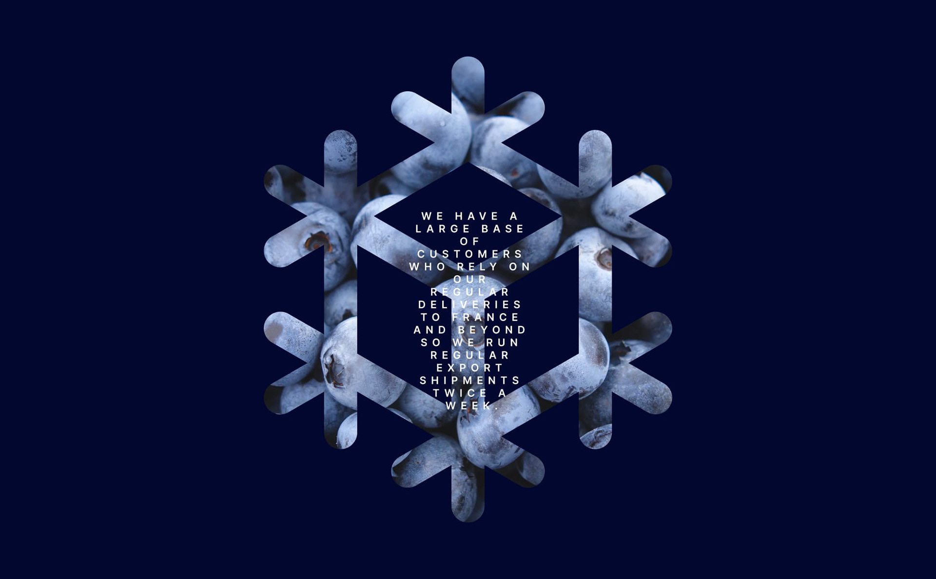Ice Cube — 3D Frost Crystal Asset with Export Statement