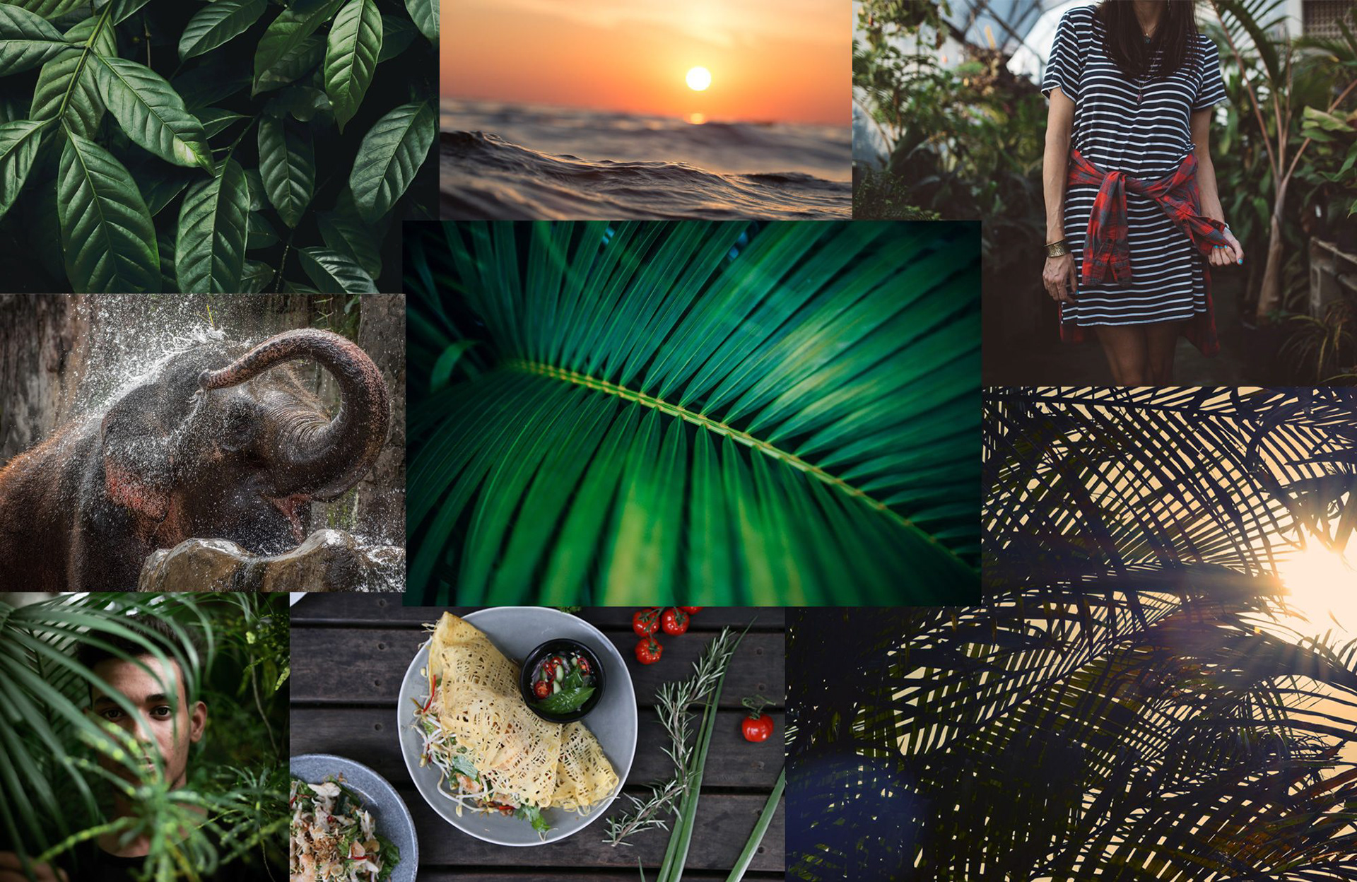 Maikhao — Tropical Moodboard and Visual Inspiration