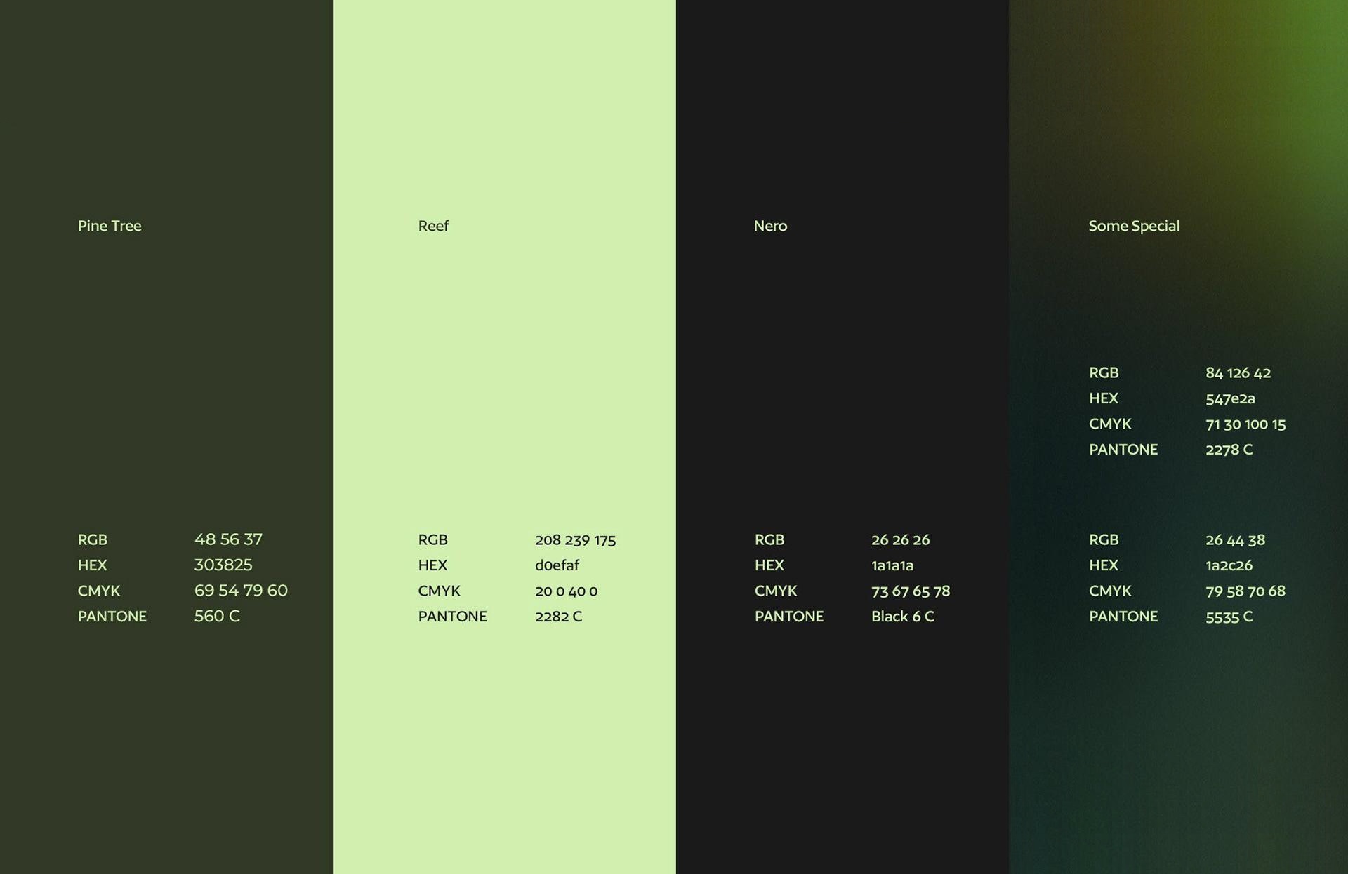 Maikhao — Brand Color Palette (Pine Tree, Reef, Nero, Some Special)