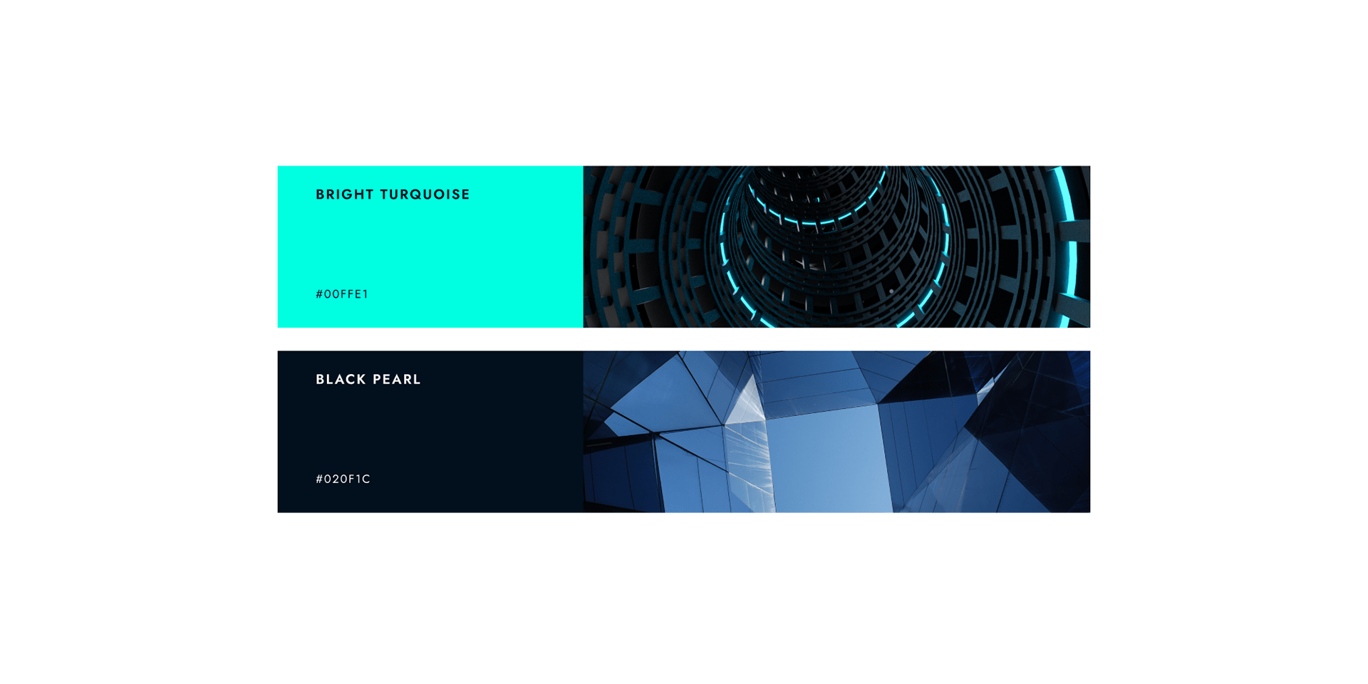 TAP System — Color Palette (Bright Turquoise and Black Pearl)